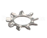 870000 Globe Lockwasher, External Tooth