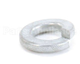 870020 Globe Lockwasher