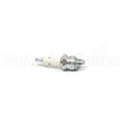 871 Champion Rj8C Sm Eng Spark Plug