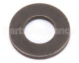 881-4 Globe Washer