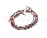 88292 Henny Penny Harness-Control Module Power