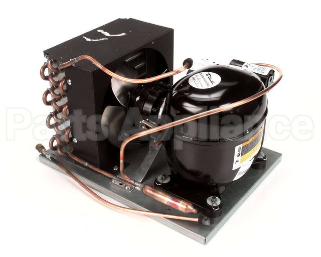 885407 TRUE Unit 1/3 404 Nek2134Gk 115 60 958Ag71..A