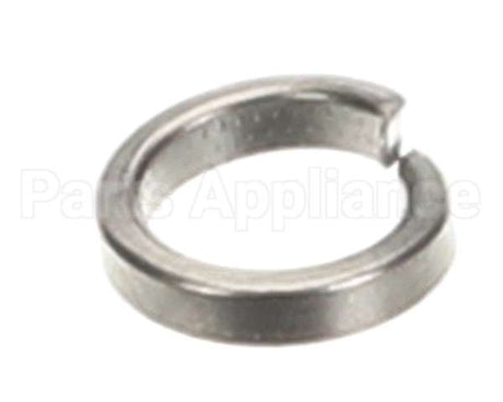 890190 Globe Spring Lock Washer High Collar