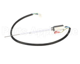 890534851 Cornelius Probe Carb Tank