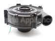1172823 International Comfort Products Inducer Assembly