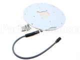100187881 Lochinvar & A.o. Smith Spark Ignitor Assembly