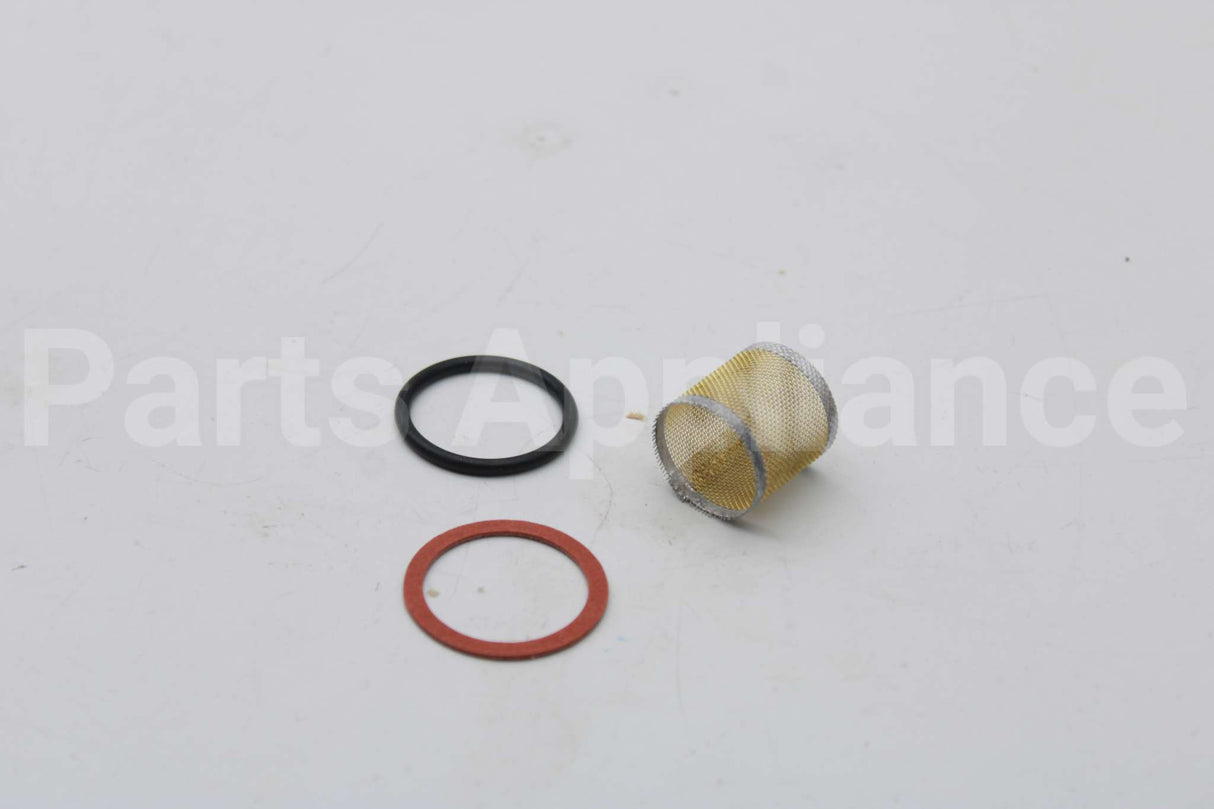 118036 Xylem-Bell & Gossett Strainer And Gasket