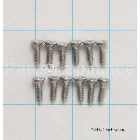 WR1X1726D GE Screw-Pkg 12