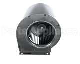 90048406 International Enviromental Blower Assembly