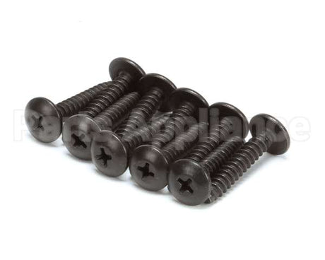 9031098-04P Ice O Matic 10Pk Screw Tr Hd 10 X 1