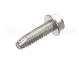 9321043 Delfield Screw,1/4-20X0.75,Z-H-