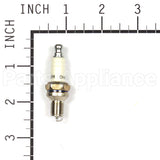 940 Champion Rdz19H Sm Eng Spark Plug
