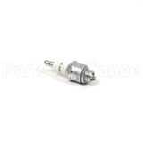 947 Champion Qj19Lm Sm Eng Spark Plug
