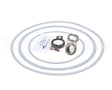 950388F Raypak Seal Kit W/Gaskets