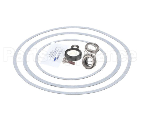 950388F Raypak Seal Kit W/Gaskets