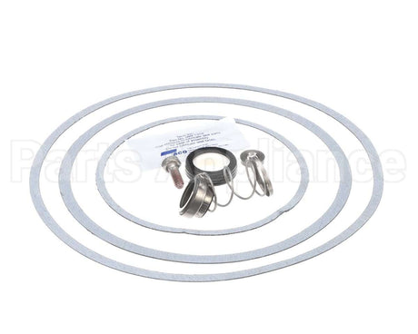 950388F Raypak Seal Kit W/Gaskets