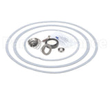 950388F Raypak Seal Kit W/Gaskets