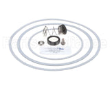 950388F Raypak Seal Kit W/Gaskets