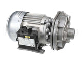 9528119 Meiko Pump With Motor 1276.3960 197