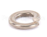 962-13 Globe Lock Washer
