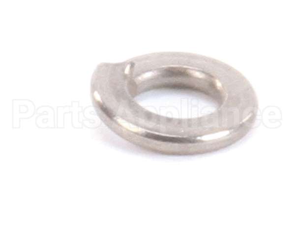 962-16 Globe Lockwasher Ss
