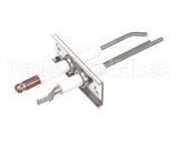9875-002-003 Dexter Electrode