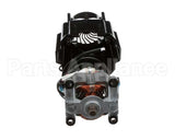 990069700 Hamilton Beach Motor, Complete (230V Only)