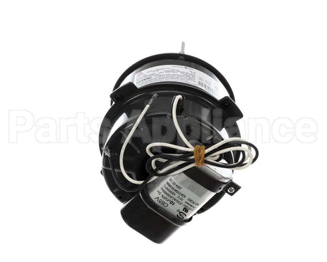 9F0302120000 Modine 115V 1/8Hp 1440Rpm Motor