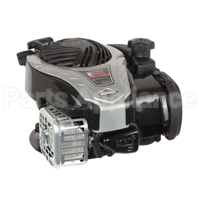 9P702-0294-F1 Briggs & Stratton Eng09P702Fyy0001