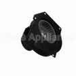 A064 Fasco Motor