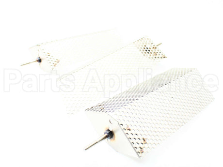 A10077 Armstrong International Electrode