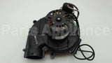 A142B Regal Rexnord - Fasco 115V 3450Rpm 1Spd Ccse Ind Mtr
