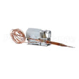 A19AGD-18 Omniteam Thermostat