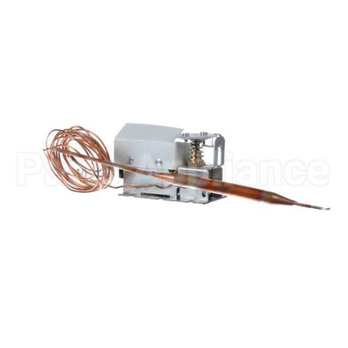 A19AGD-18 Omniteam Thermostat