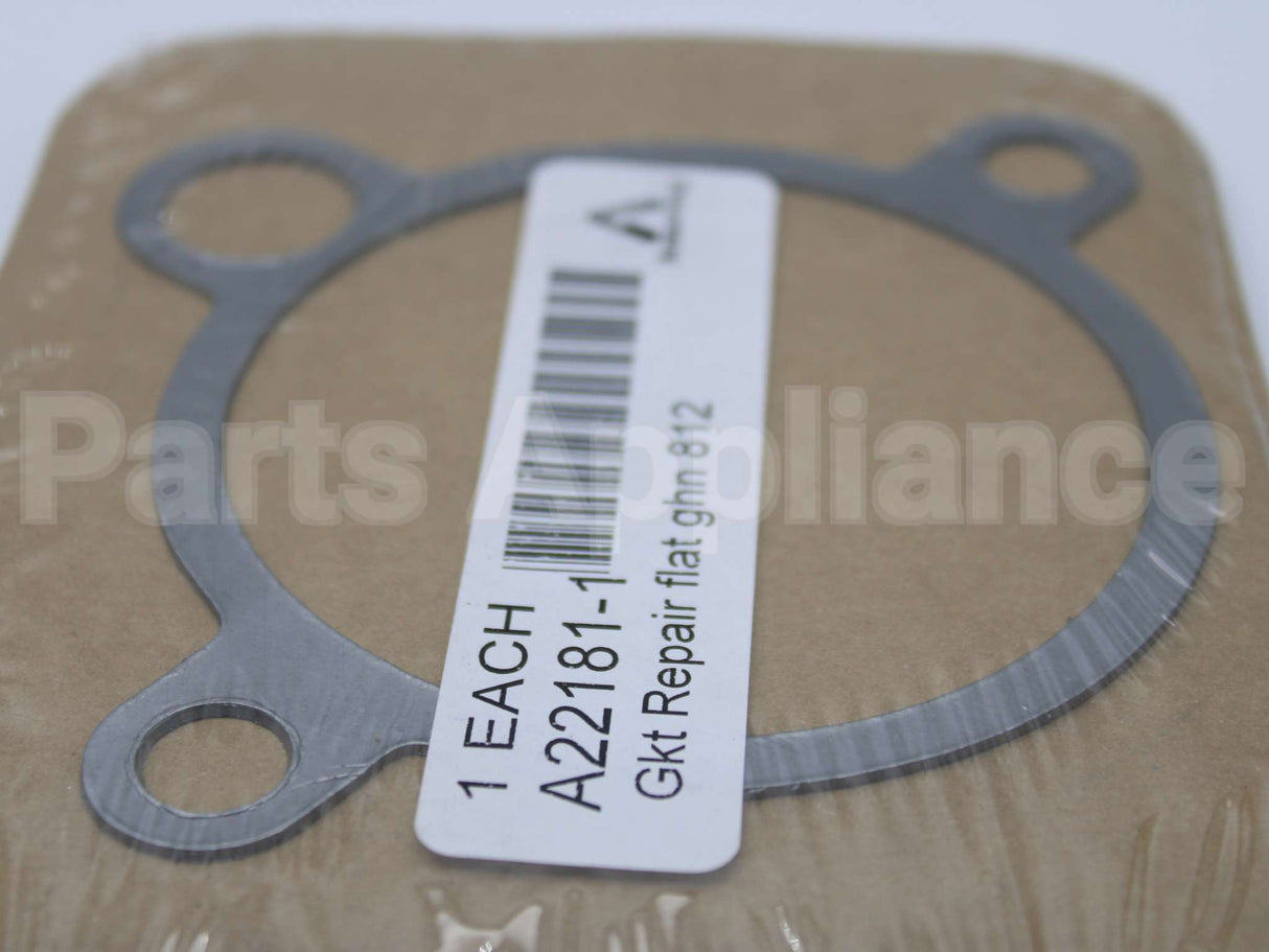 A22181-1 Armstrong International Gasket F/812,882