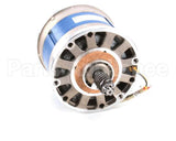 A260 Globe Motor