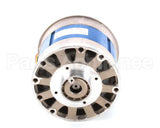 A260 Globe Motor
