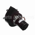 A306 Fasco Motor