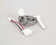 A33101-022 Scotsman Thermo Probe Service