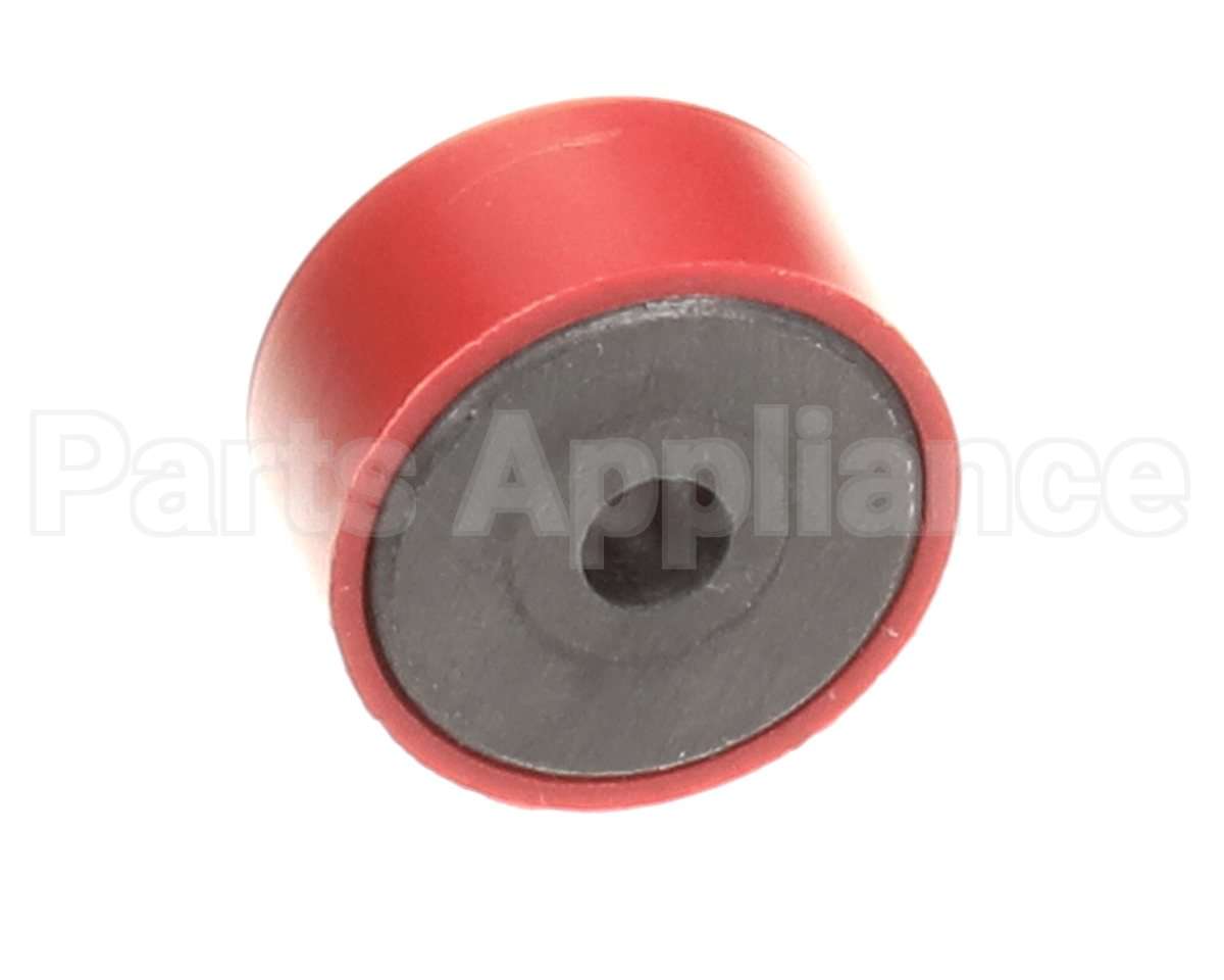 A66-0242 Erika Record Magnet