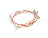 A71576 Grindmaster Cecilware Harness,Top/Side Warmers