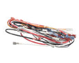 A71971 Grindmaster Cecilware Wire Harness