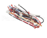 A71971 Grindmaster Cecilware Wire Harness