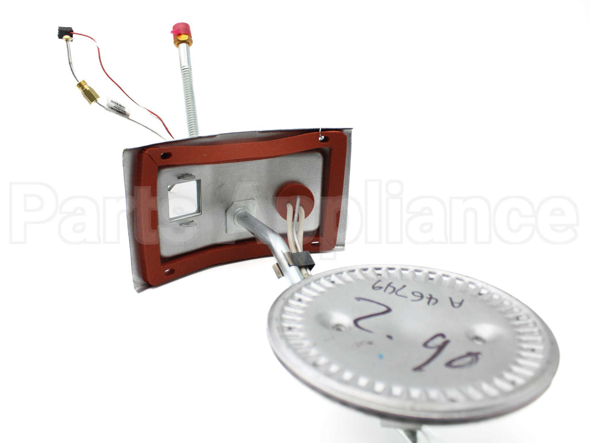 AM46749 Rheem-Ruud Burner Assembly