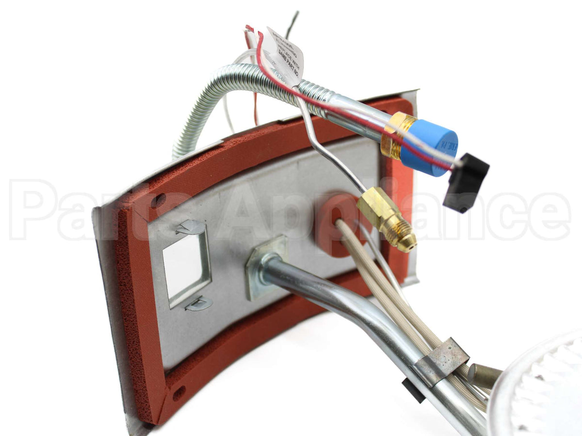 AM46749 Rheem-Ruud Burner Assembly