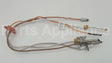 AP13244 Rheem-Ruud Natural Gas Pilot Assembly