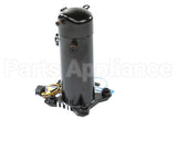 AQA042KAE International Comfort Pro Compressor, Scroll