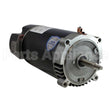 AST095 US Motors Nidec Pool And Spa Pump Motor