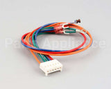 AT0A-2719-2 Accutemp Igniton Module Harness Assembly G1 Gas S