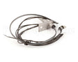 AT0A-3519-2 Accutemp Evolution Electric Reed Switch & Wire Ha